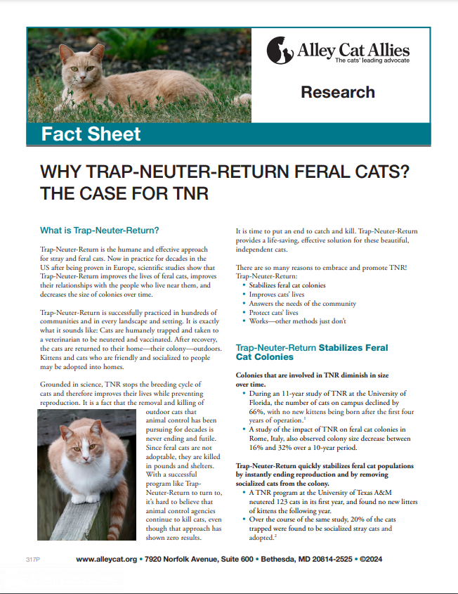 Community Cats and TNR