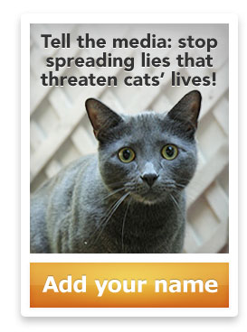 Tell the Media Stop Spreading Lies that Threaten Cats Lives