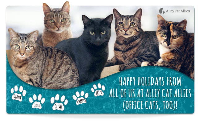 Happy holidays from all of us at Alley Cat Allies (Office Cats, too)!