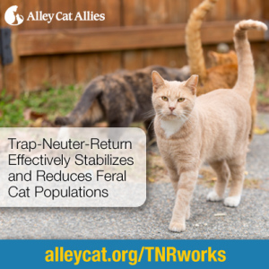 Facebook_403_TNRWorks