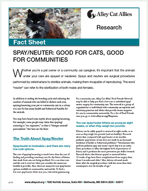 Spay Neuter Good For Cats Good For Communities Alley Cat Allies