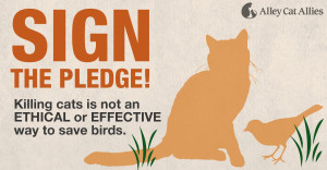 Sign the Pledge: Killing cats is not an ethical or effective way to save birds