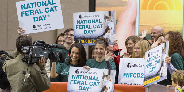 Alley Cat Allies staff holding National Feral Cat Day signs at the Today Show crowd in NYC