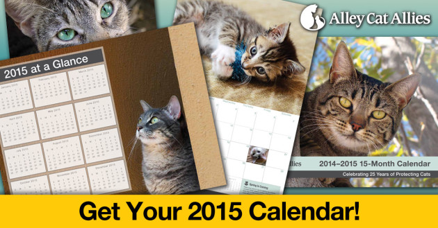 Facebook_Link_BIG_2015Calendar