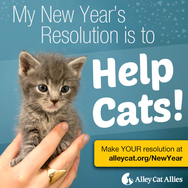 ShareGraphic_BIG_NYresolution3