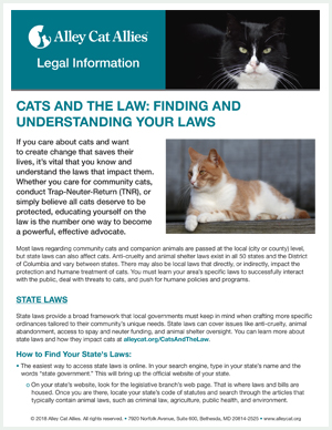 Understanding Cat Laws For Cat Owners Where To Get Pre Paid