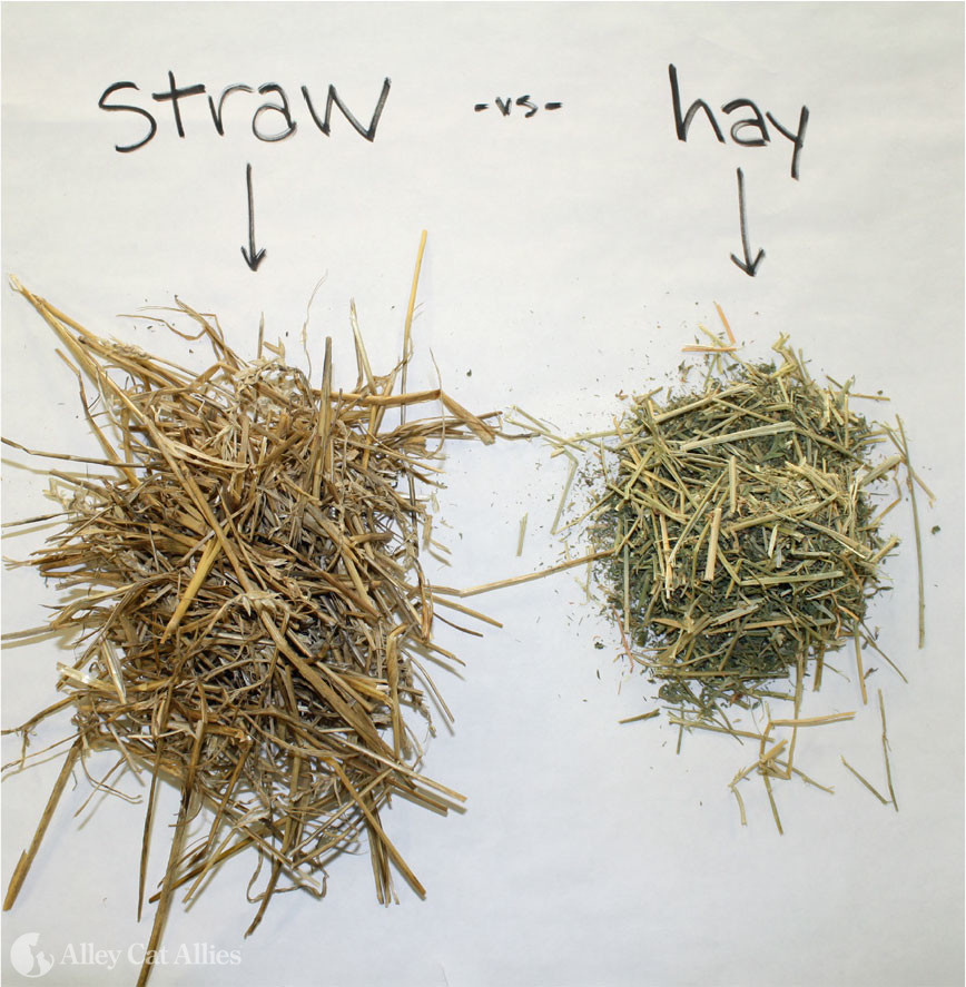 Straw—Not Hay—for Feral Cat Shelters Straw and hay may look