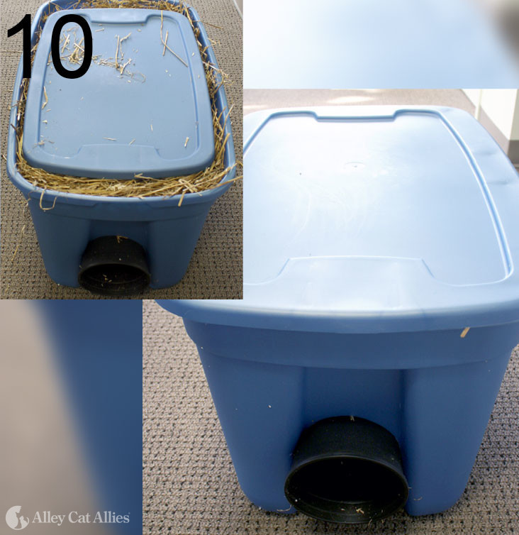 How To Build An Outdoor Shelter Alley Cat Allies - Diy Insulated Feral Cat Shelter