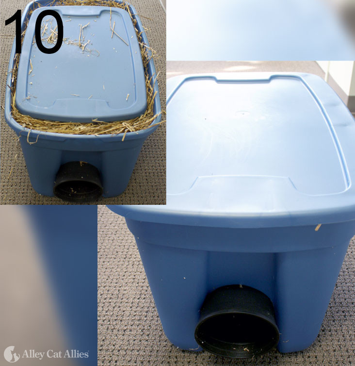 How to build an outdoor cat house - Ruff Start Rescue