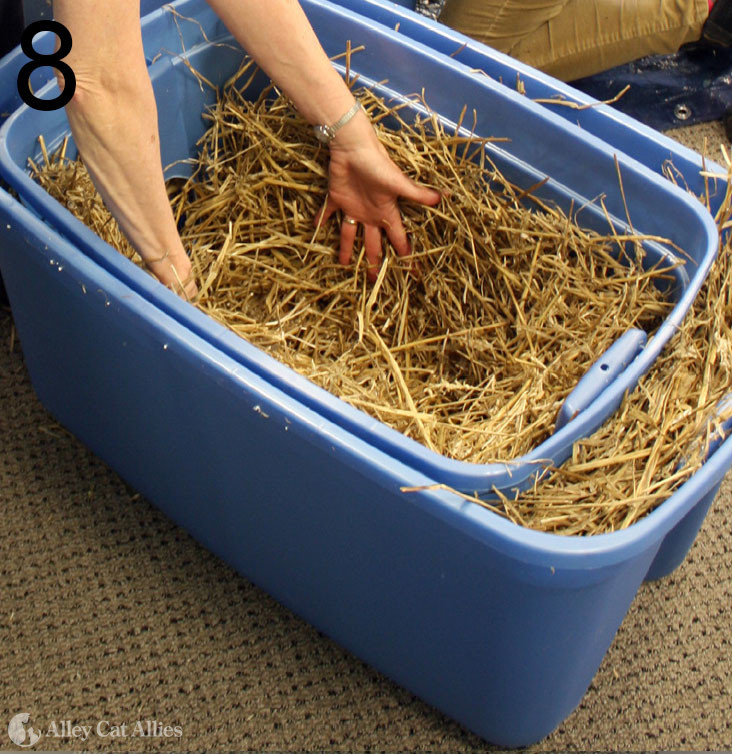 Make a feral cat shelter from a styrofoam cooler filled with straw