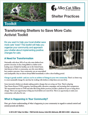Transforming Shelters to Save More Cats Activist Toolkit Alley