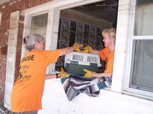 Alley Cat Allies Volunteers in 2005 after Hurricane Katrina.