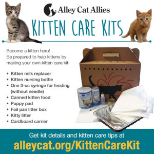 ShareGraphic_KittenCareKit