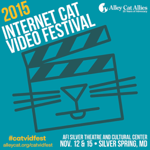 Sharegraphic_InternetCatVideoFestival-300x300