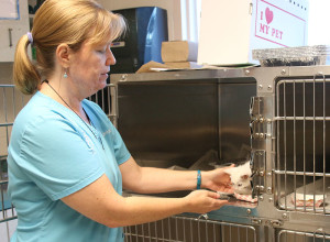 With our kitten care kits, the Hillsborough County Pet Resource Center is helping so many kittens.