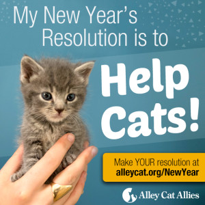 ShareGraphic_NewYear2016-300x300