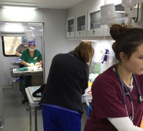 The mobile unit, where cats are spayed or neutered.