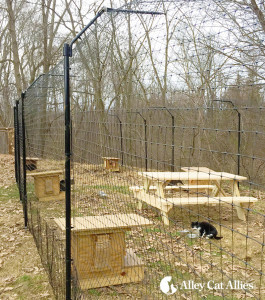 news_UnChainedCats_Enclosure-265x300