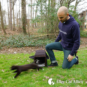 Daniel, returning Doodle to his outdoor home and back to his feline family.