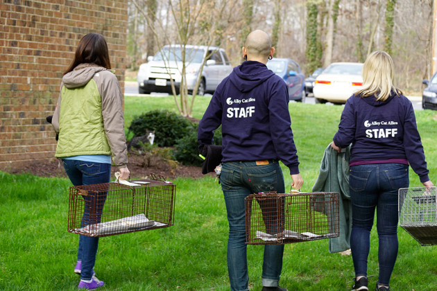 The dream team! Alley Cat Allies staff members Molly, Daniel, and Kayla heading out to set humane box traps for Trap-Neuter-Return.