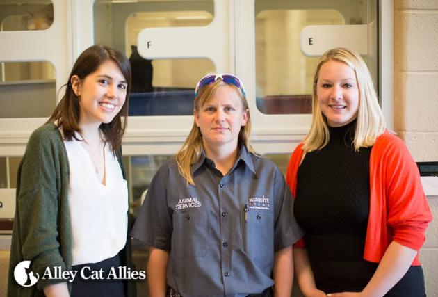 Alley Cat Allies' staff attorney Molly Armus, Mesquite Animal Services Superintendent Anne Simmons, and Alley Cat Allies' Campaigns Manager Kayla Christiano on a tour of the shelter.