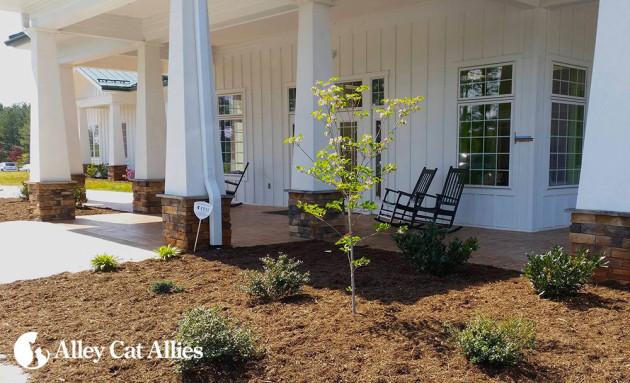 Would you ever guess this was a shelter? The Lynchburg Humane Society's Pet Center is one of a kind.