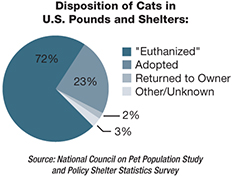cat fatalities shelters graph
