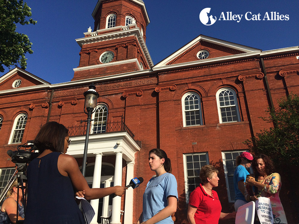 Alley Cat Allies Staff Attorney, Molly Armus, speaks with the press