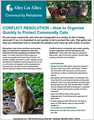 Conflict Resolution: How to Organize Quickly to Protect Community 