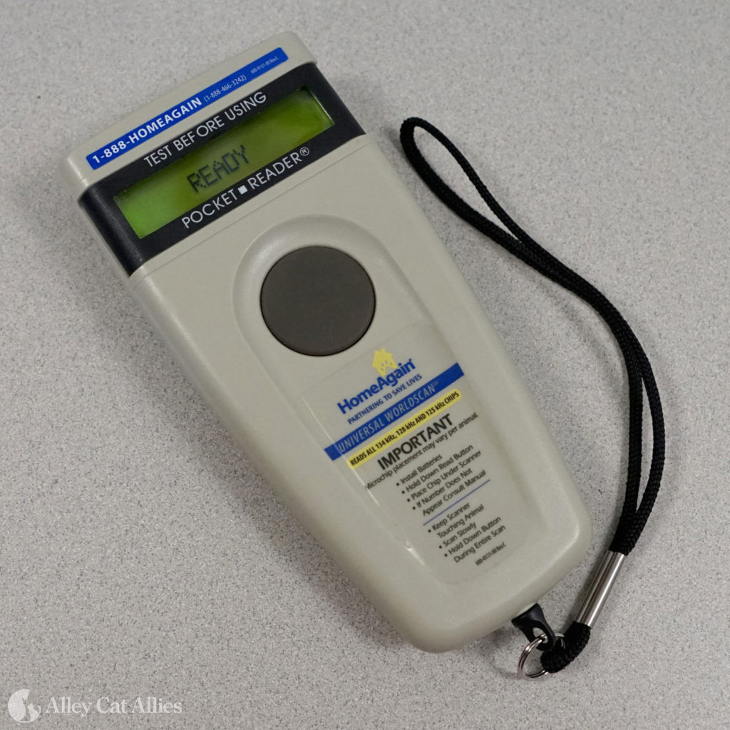 How to Scan a Cat for a Microchip Alley Cat Allies