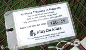 A tag on a humane box trap