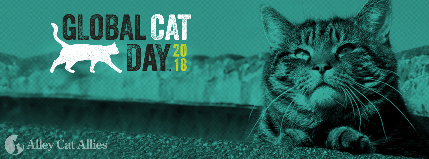 Alley Cat Allies Global Cat Day 2018 Alley Cat Allies