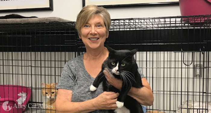 Profile in Compassion: Gayle Magnuson's Fantastic Foster Home | Alley Cat Allies Profile in Compassion: Gayle Magnuson's Fantastic Foster Home | Alley Cat Allies