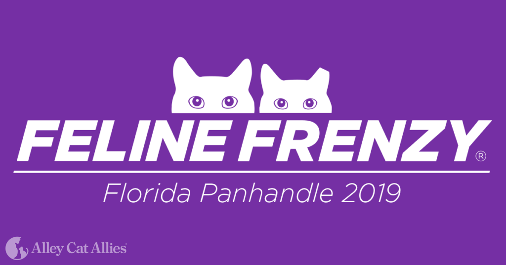 Alley Cat Allies’ Feline Frenzy® in the Florida Panhandle Alley Cat Allies