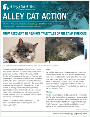 alley cat allies calendar