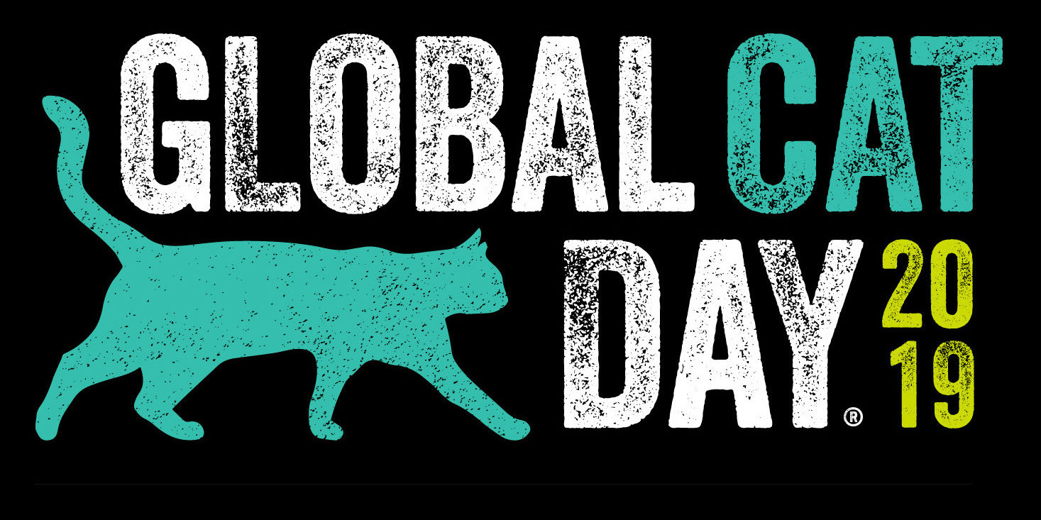 Global Cat Day 2025 Kacey Mariann