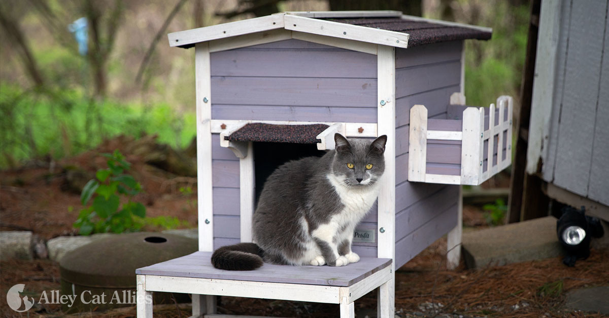 Will placing a Mylar blanket over the heated outdoor cat house