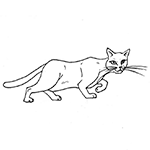 crouched and nervous cat