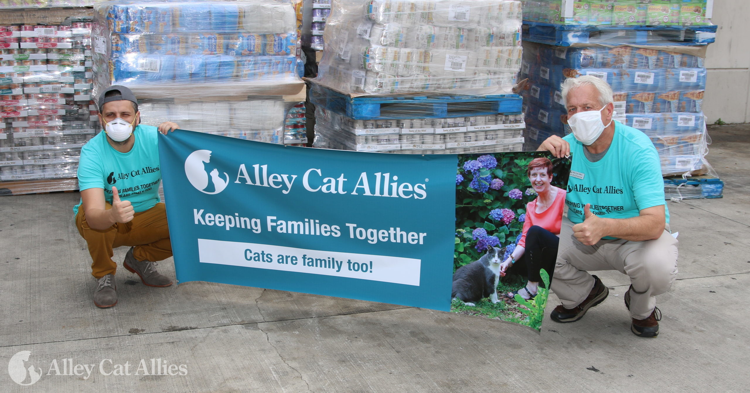 allies cat rescue