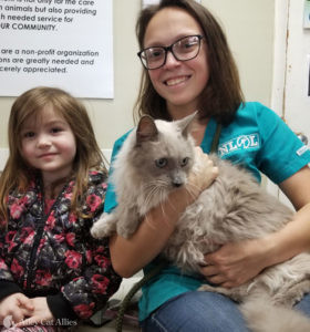 Long-haired cat Blu sits with his new best friends at New Leash On Life.
