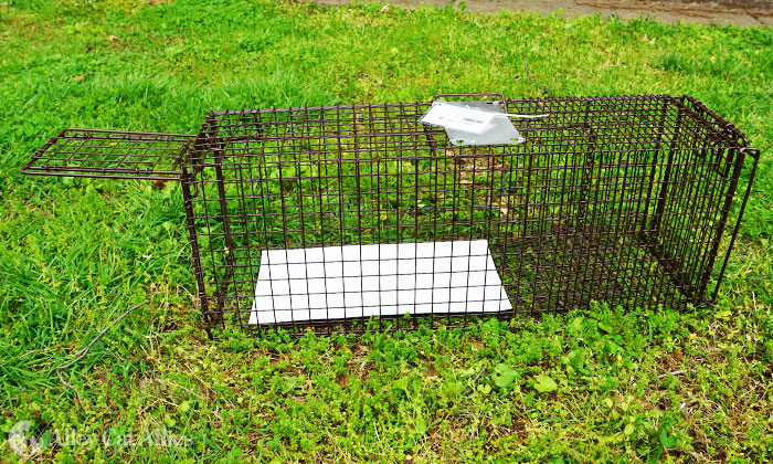 Traps and Humane Animal Equipment