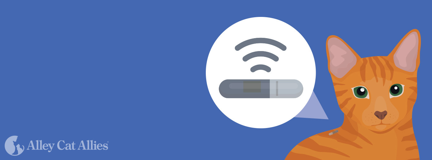 Microchips Save Lives Alley Cat Allies