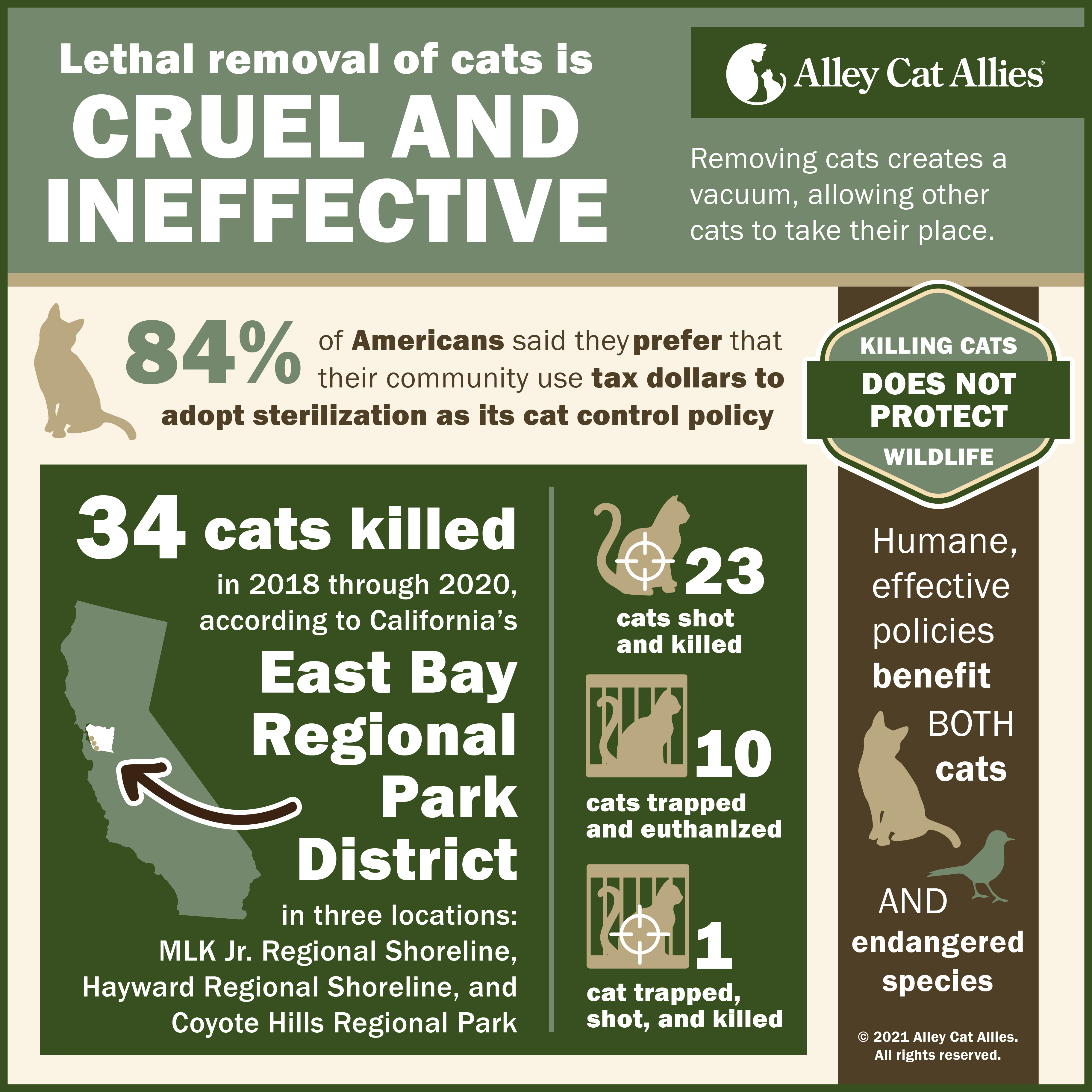 East Bay infographic 