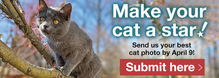 alley cat allies calendar