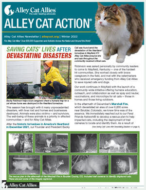 Alley Cat Action, Volume 32, Issue 2, Winter 2022 | Alley Cat Allies