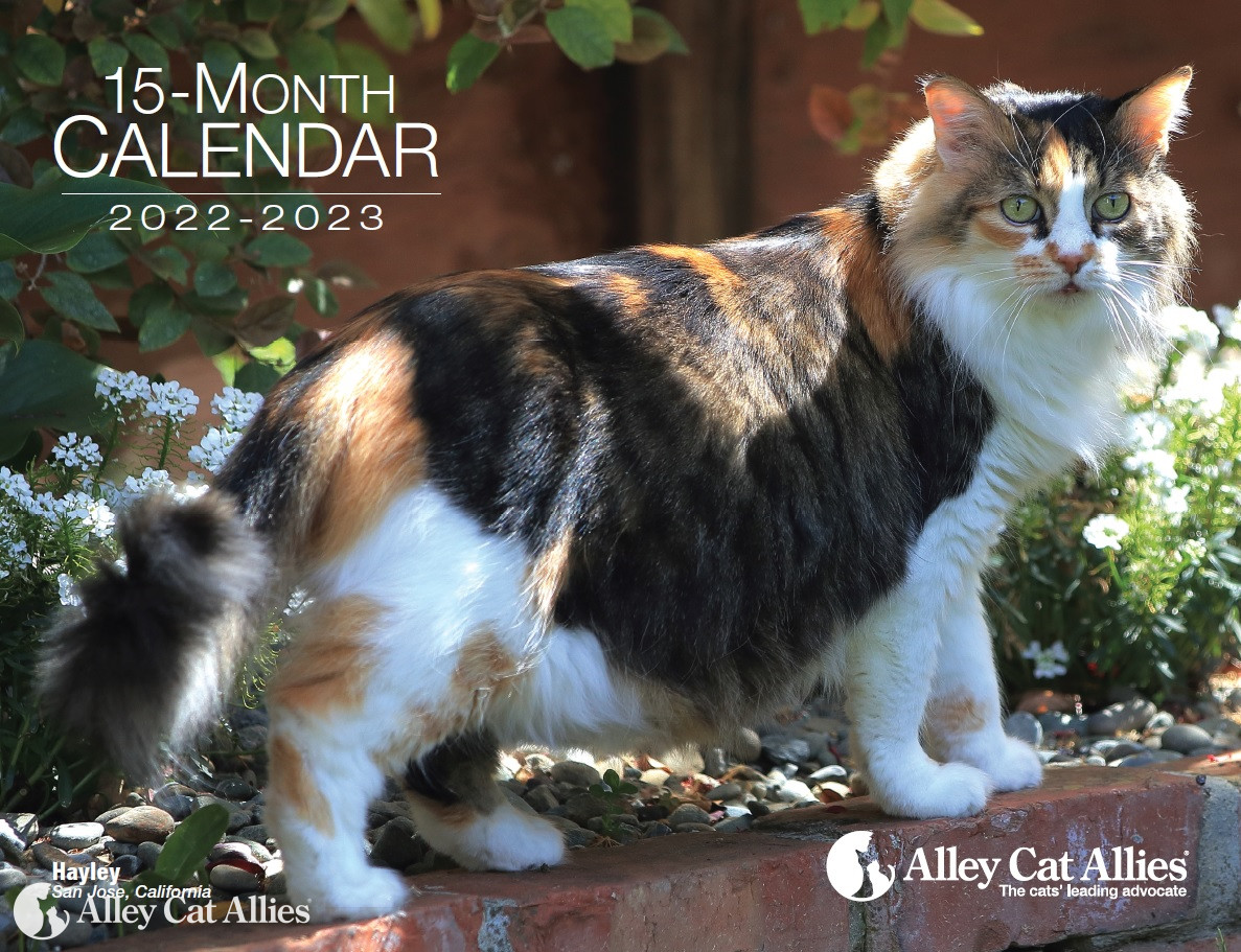 Alley Cat Allies 20222023 Calendar Now in Our Shop Alley Cat Allies
