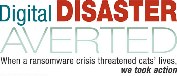 Digital Disaster Averted -- When a ransomware crisis threatened cats' lives, we took action
