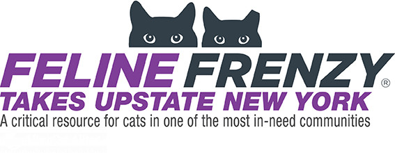 Feline Frenzy® Takes Upstate New York -- A critical resource for cats in one of the most in-need communities