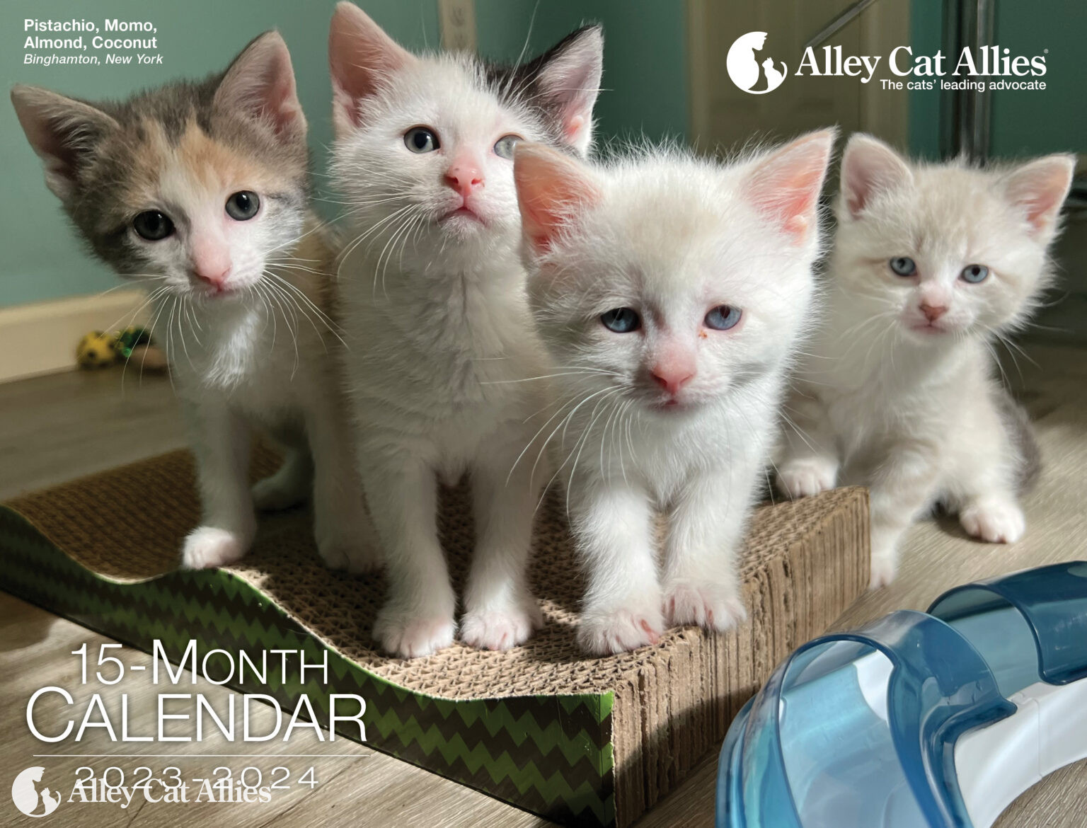 It’s Here! Get Your Alley Cat Allies 20232024 Calendar Alley Cat Allies