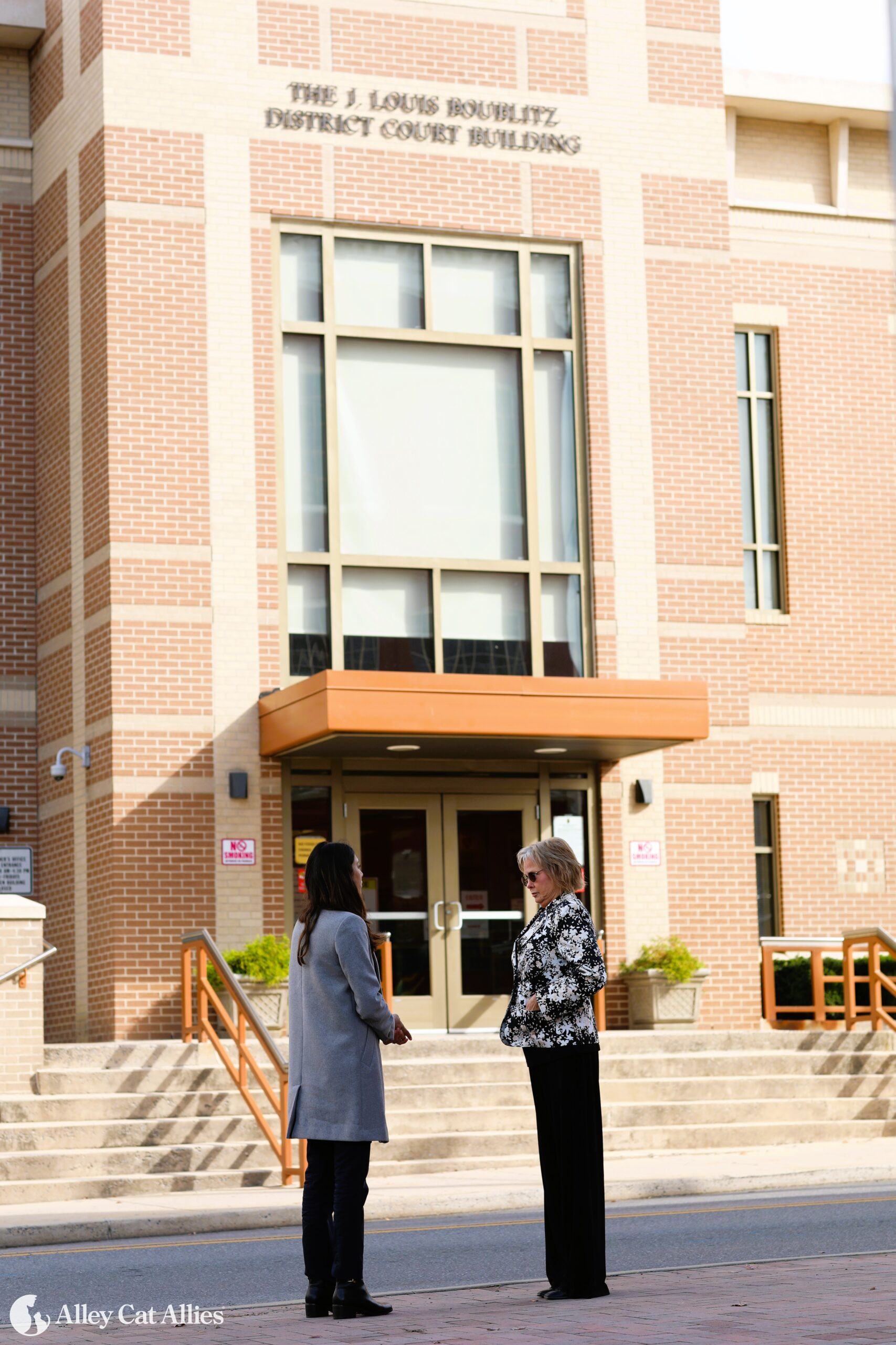 Your Update: Nala the Cat's Killer Receives Light Sentence; Saving